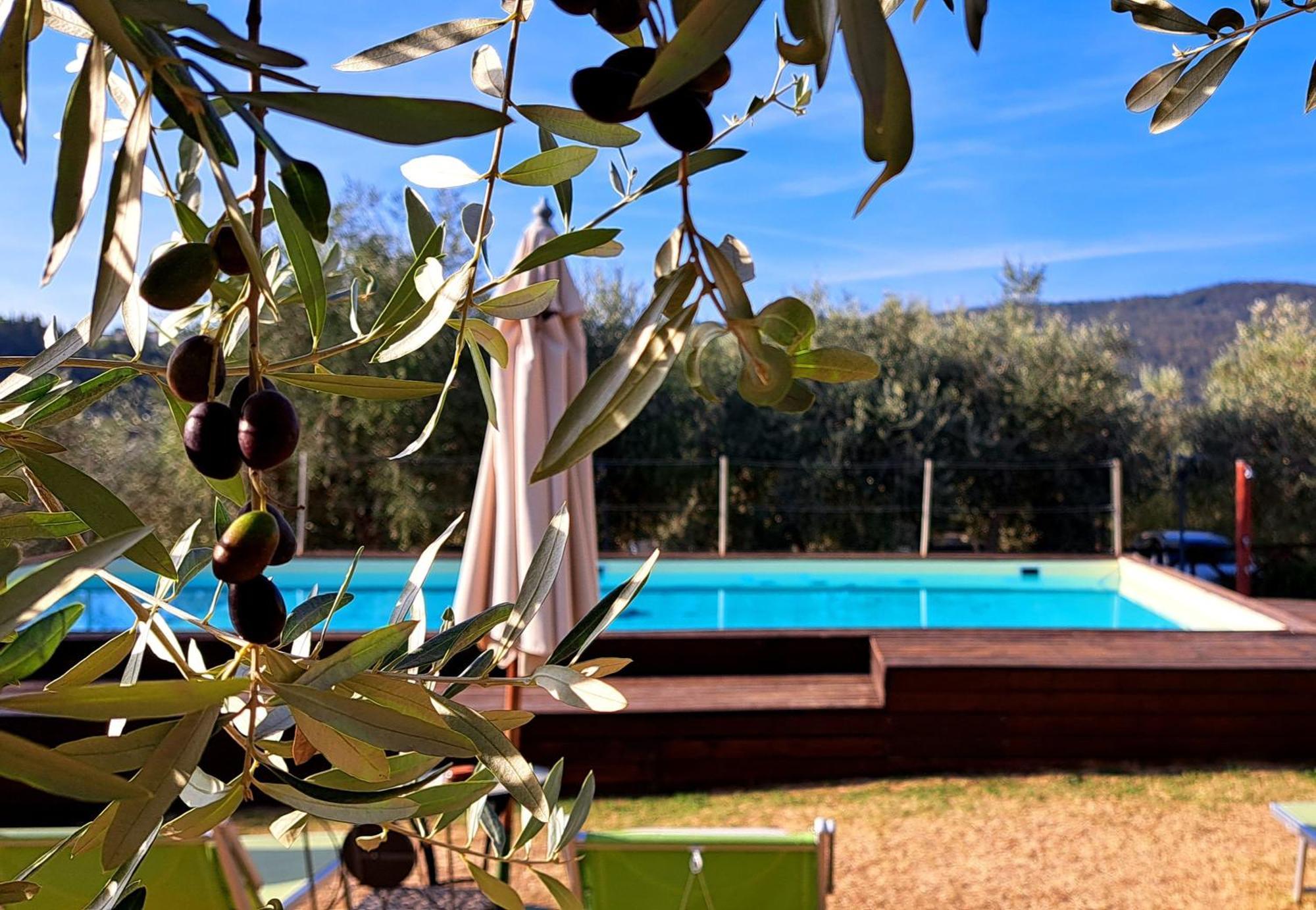 Agriturismo Villa Guarnaschelli Скандиччи Экстерьер фото